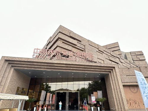 茯茶鎮 以茶為媒，帶活百億產業，鑄就中國茯茶之都