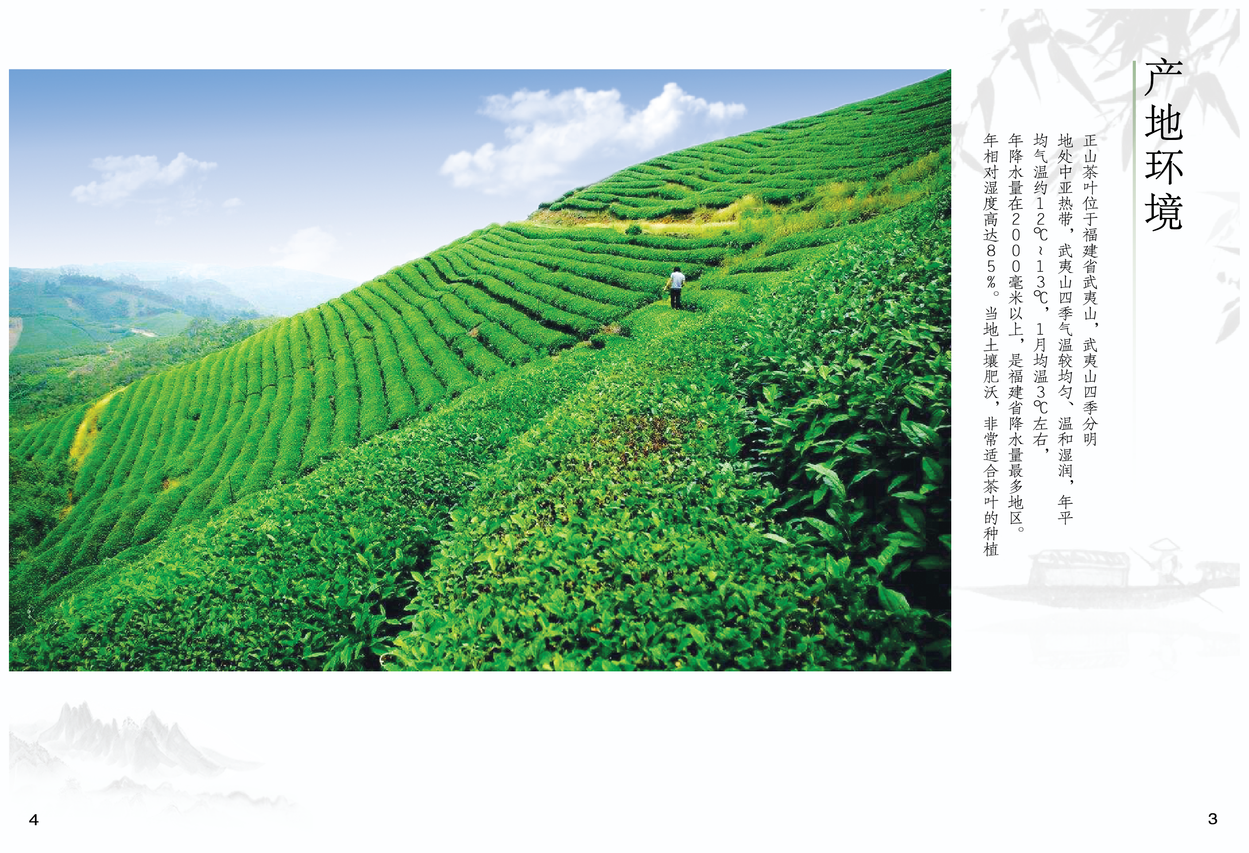 正山堂 一盞茶香，承傳千年